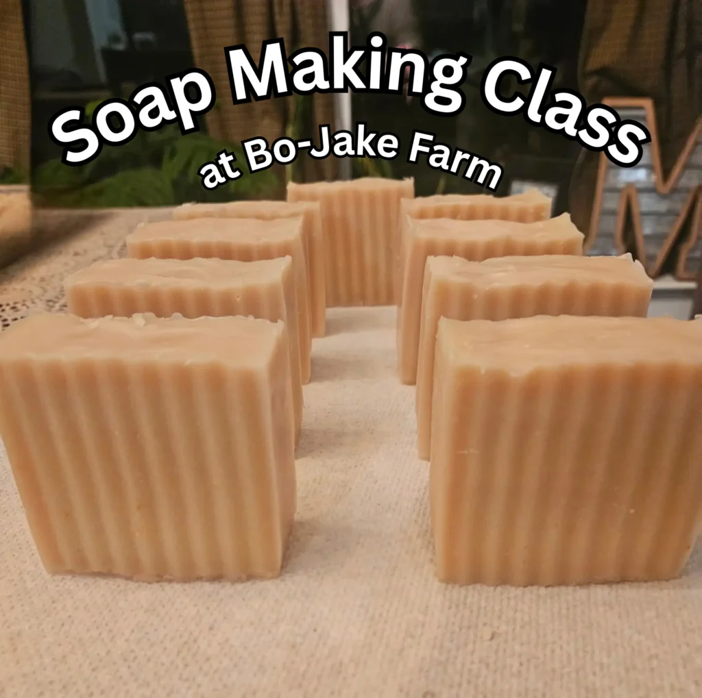 Soap Making Class with Bo - 2pm-4pm June 20th, 2026